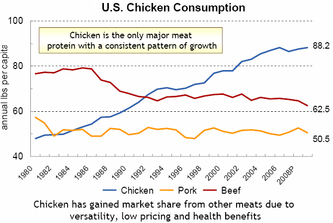 Importance of Chicken