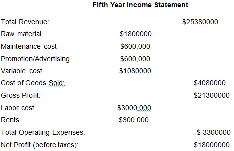 First Year Income Statement