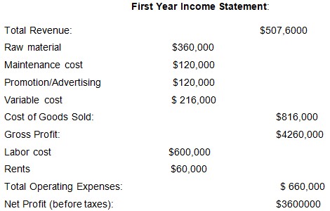 First Year Income Statement