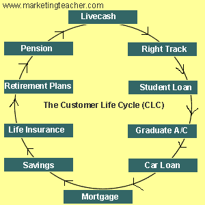 Customer Lifecycle CRM