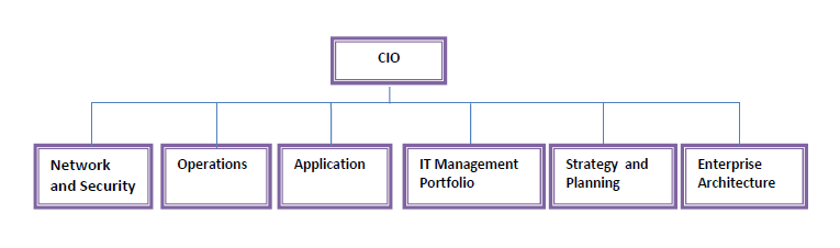 Proposed Organisational Structure for the IT Service Business