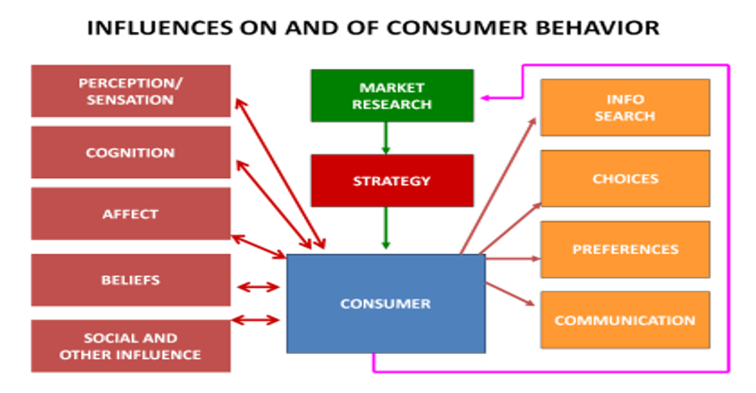 Louis Vuitton Company Market Research