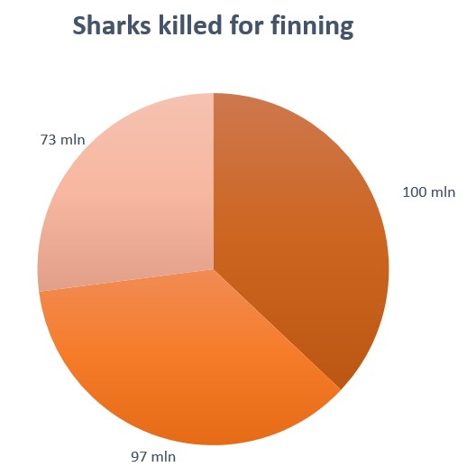 Sharks killed for finning. 