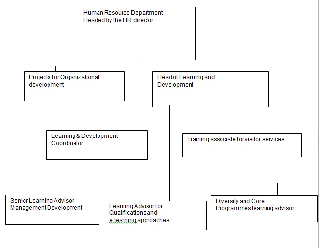 Illustrating the development of L&D initiatives thorough evaluation of strategic objectives of an organization.