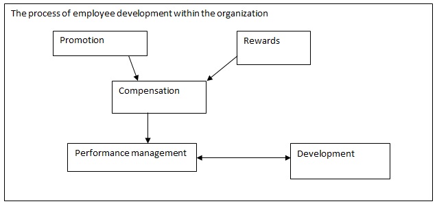 The process of employee development within the organization.