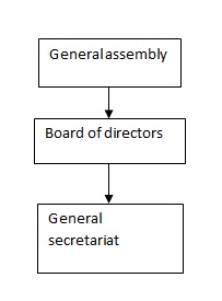 Management structure of UAB