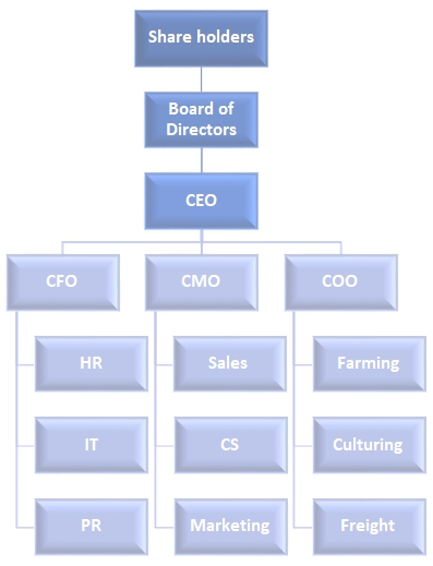 Scheme of company.