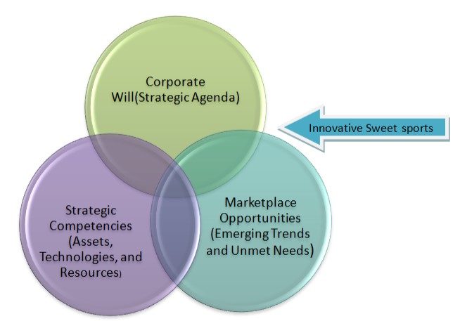 Decision and Motive Framework