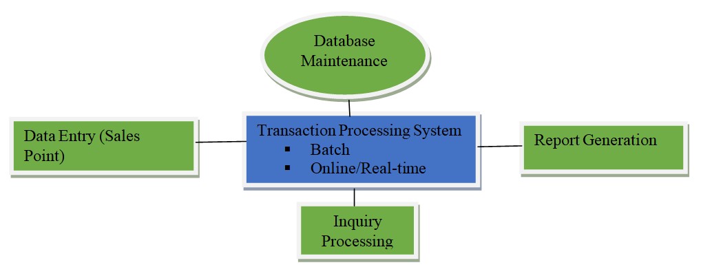 in an organization a transaction processing system