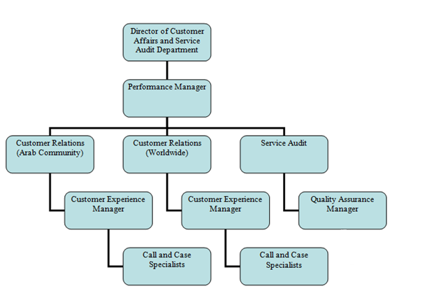 Organizational Chart of Customer Affairs and Service Audit Department.