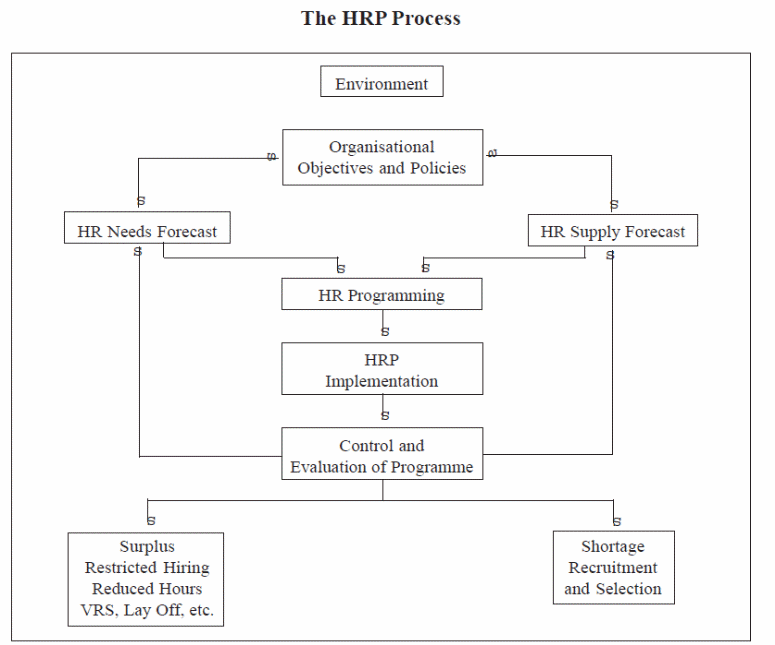 The HRP Process