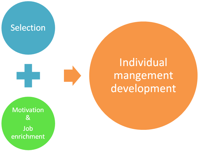 Selection, motivation and job enrichment to individual management development