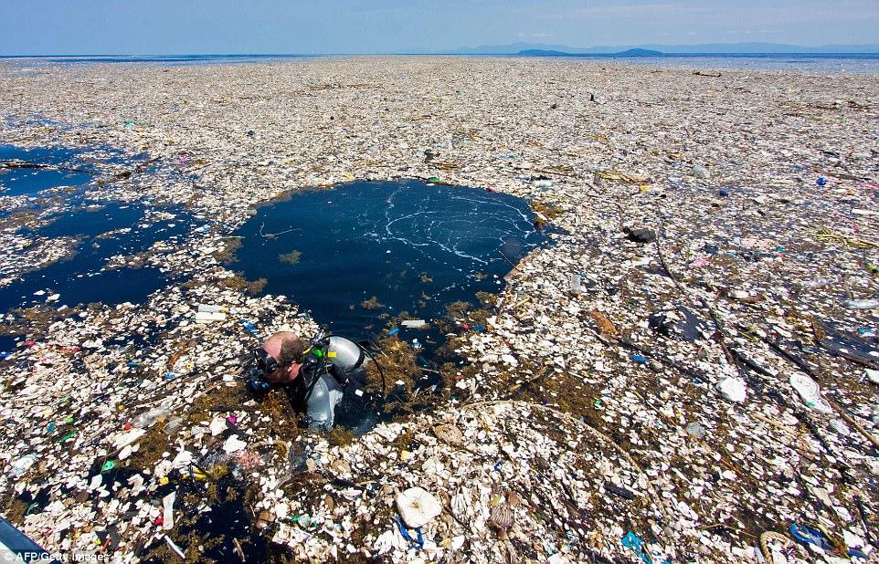 Plastic wastes in the high seas.