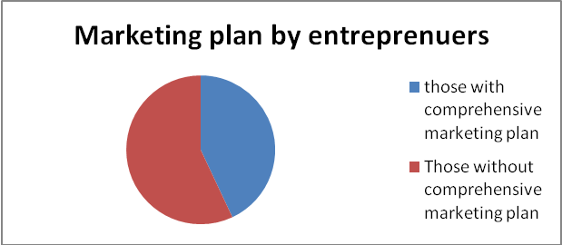 Marketing plan by entreprenuers