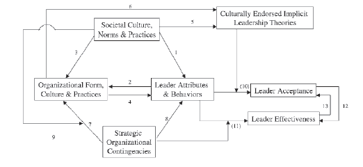 Influence of social cultures on organisations