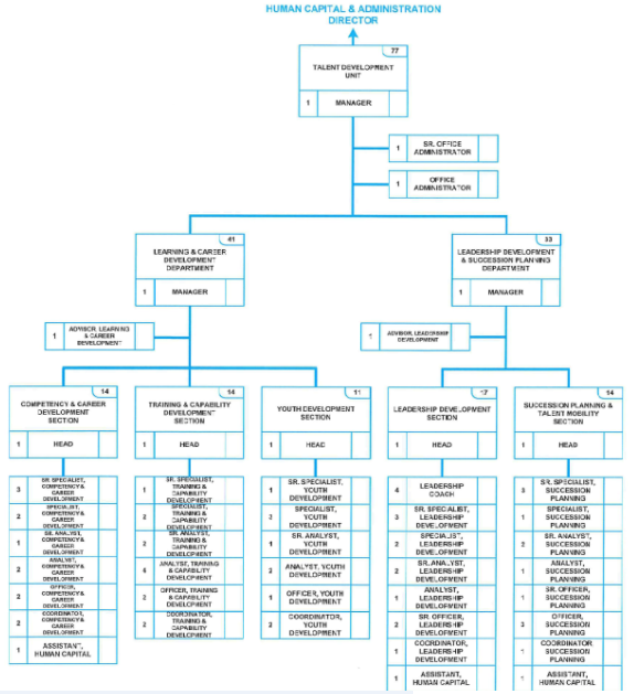 The Human Capital Department before transformations.