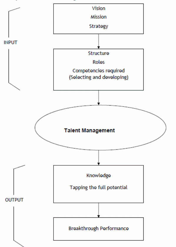 Talent management process.