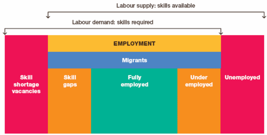 Main components of Skills imbalances. 