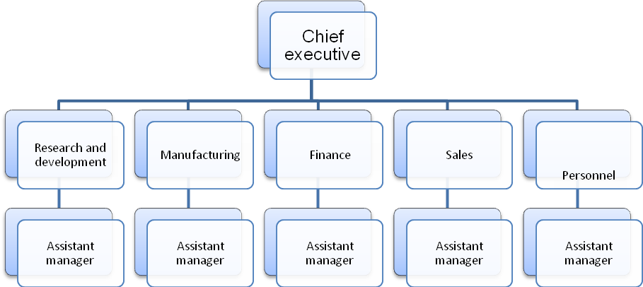 Hierarchical organizational structure.