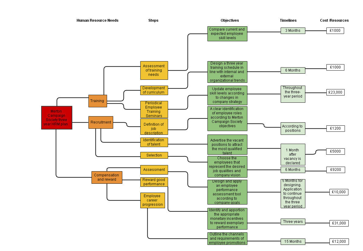 A Three-Year Human Resource Plan for Merton Campaign Society