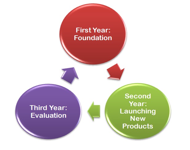 Implementation cycle.