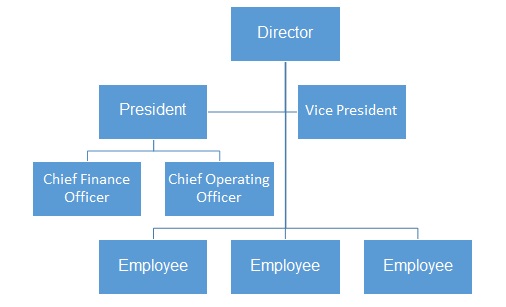  The company’s organisational chart.