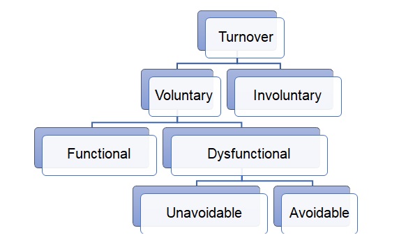 Conceptual framework.