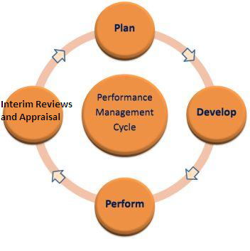 Proposed performance management cycle.