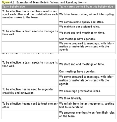 Example of team beliefs, values, and resulting norms