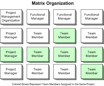  matrix organisation structure