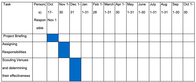 Gantt Chart for Coca-Cola China Promotion