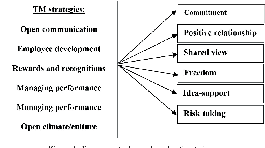 Talent Management Strategies