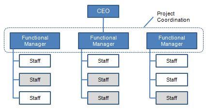 Functional Organizational Structure