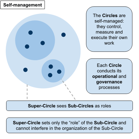 Holacracy circle model