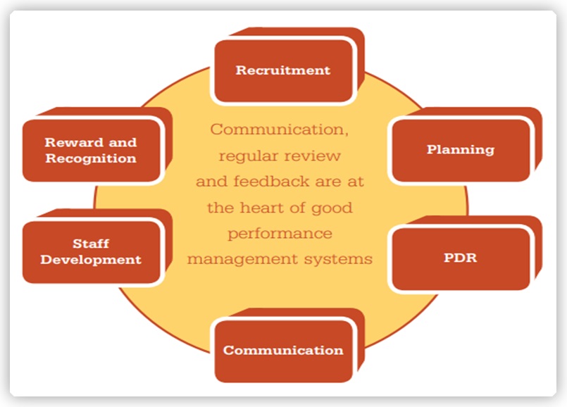 Performance management and employees’ growth strategies.