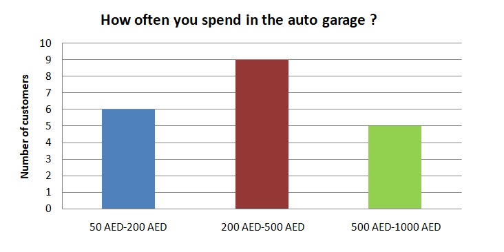 How often you spend in the auto garage?