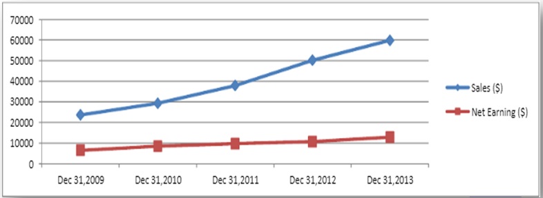 Google’s Company’s performance from 2009-2013.