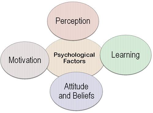 Factors that influence consumer behavior.