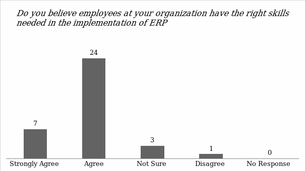 Employees’ skills and capacity to use the ERP system in SCM.