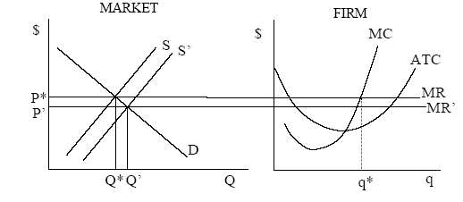 Perfect Competition in the Long Run