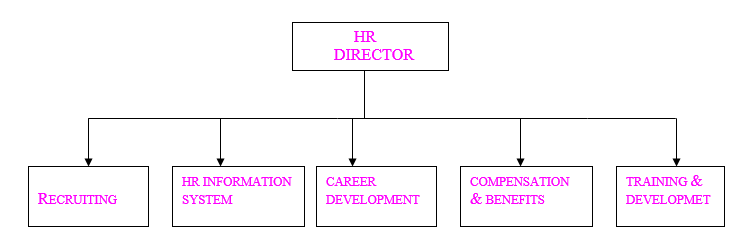 HR organization structure in India