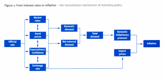 The transmission mechanism of monetary policy