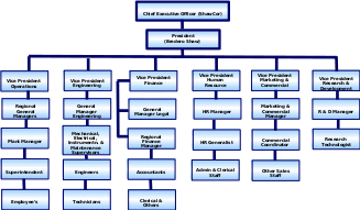 Organization chart of the newly formed Bredero Shaw