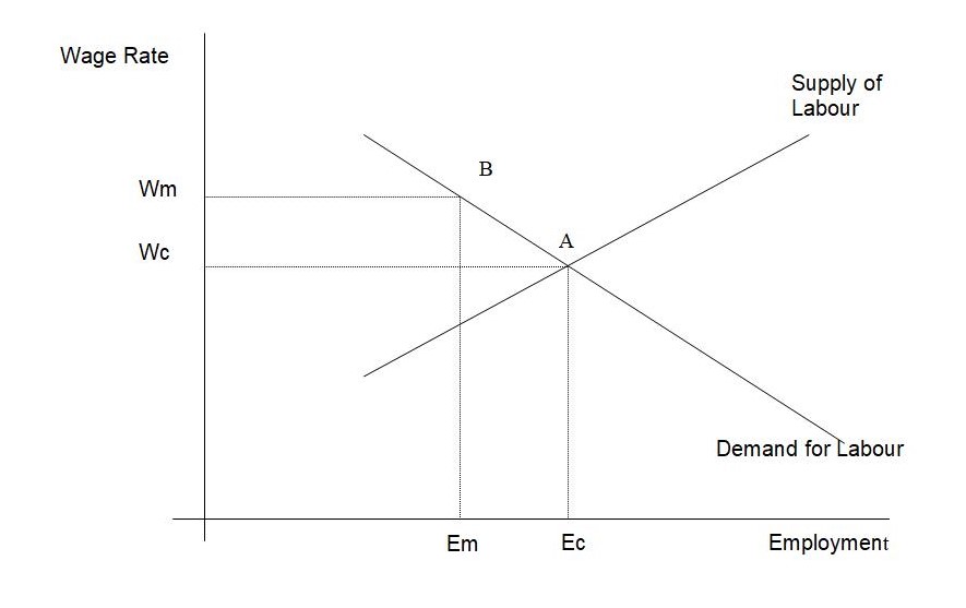 Employment Effect of Minimum Wage