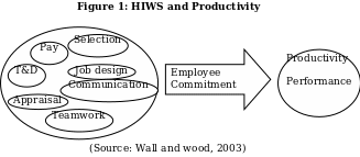 HIWS and Productivity