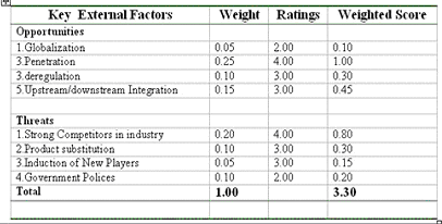 EFE Matrix