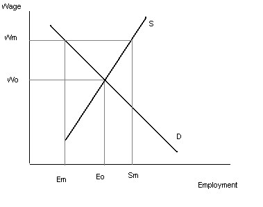 Minimum Wage and Employment