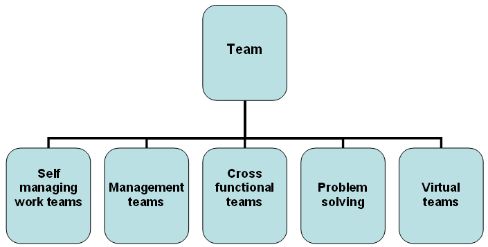 Types of Teams