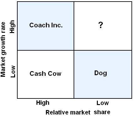 BCG Matrix of Coach