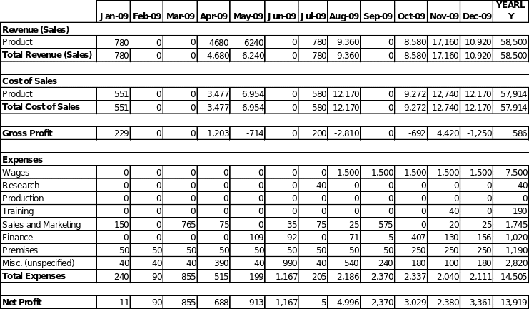 PRofit and lOss projection for 2009